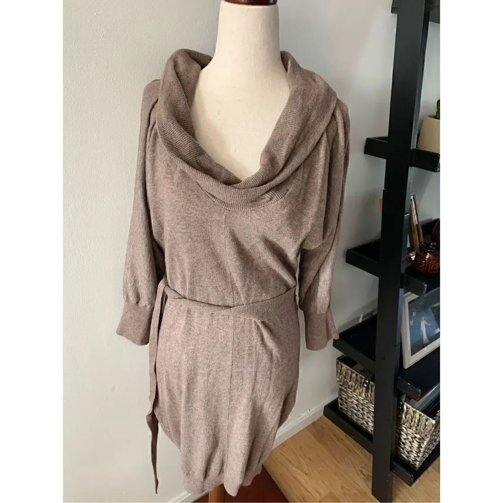 Express brown sweater dress size small turtle neck